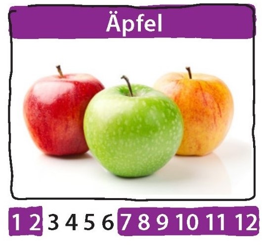 Saisonkalender mit Äpfeln
